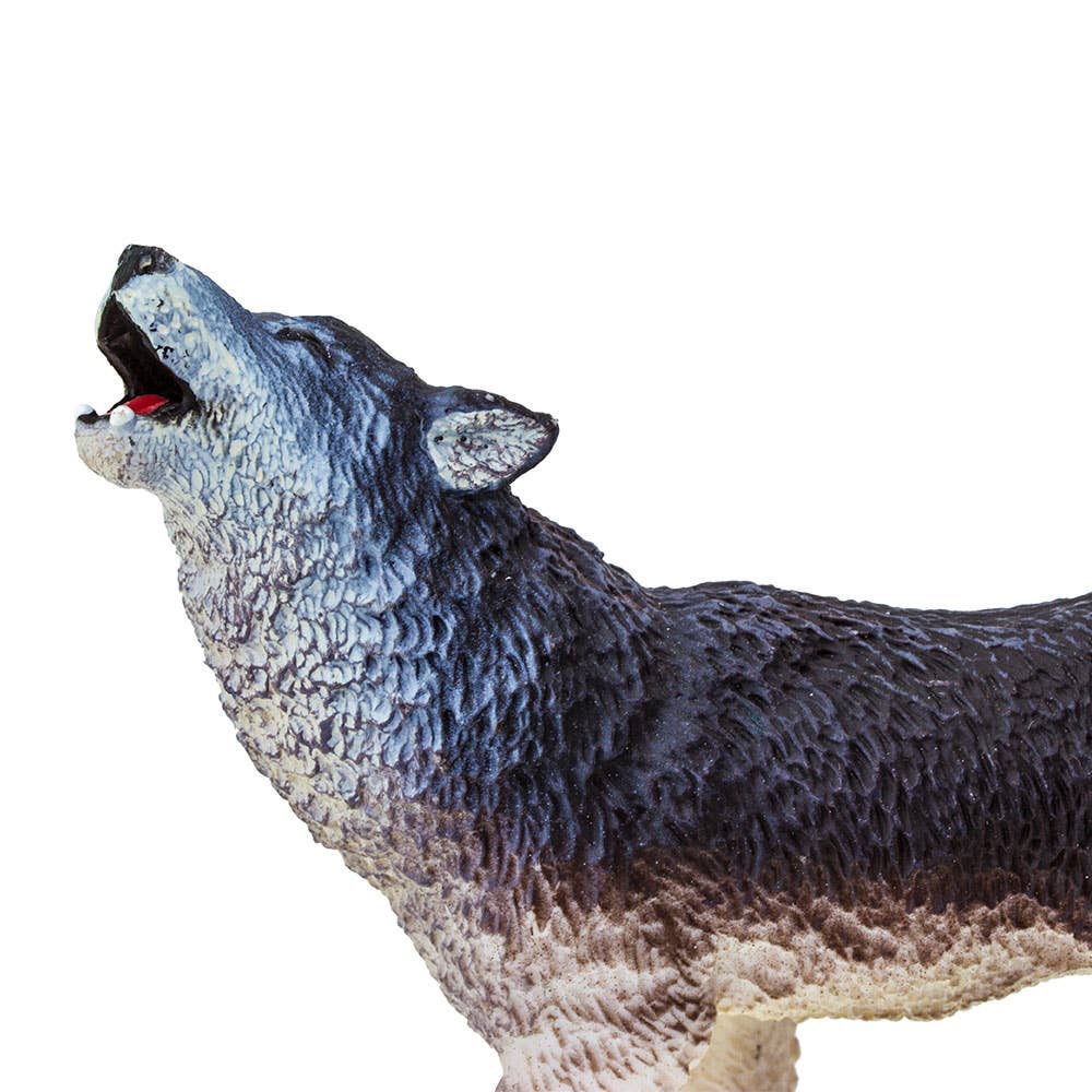 Gray Wolf - 273829