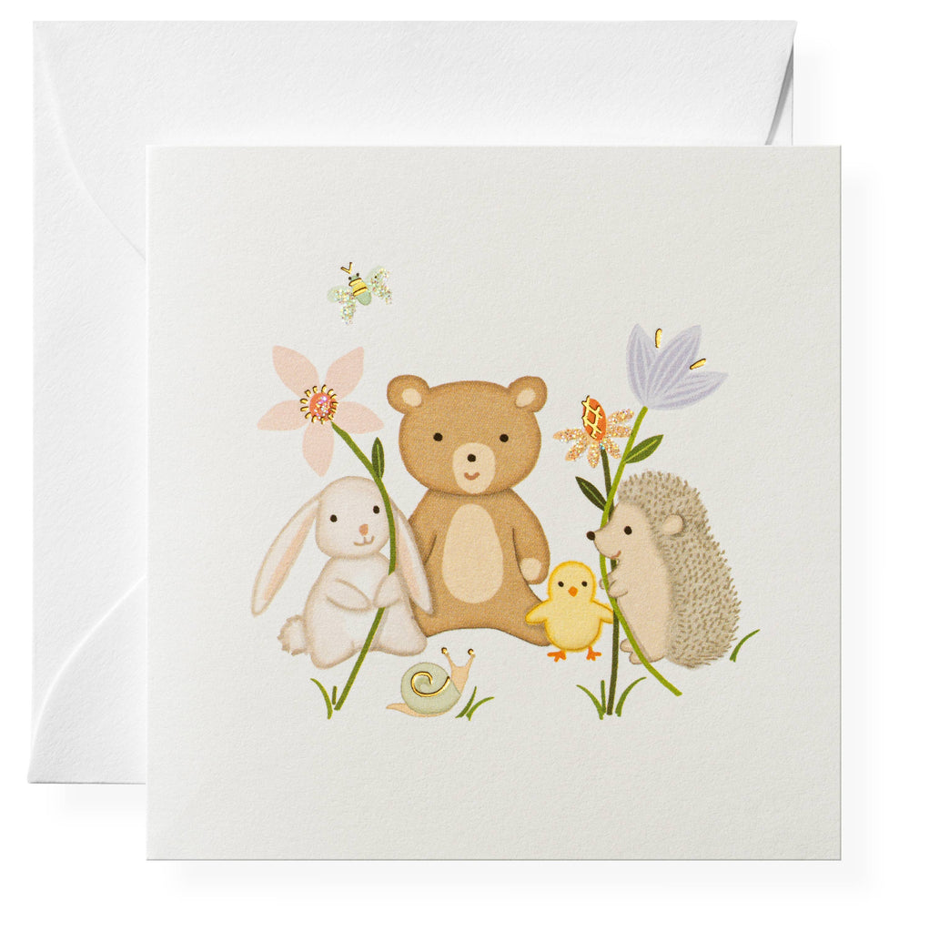 Animal Friends Gift Enclosures
