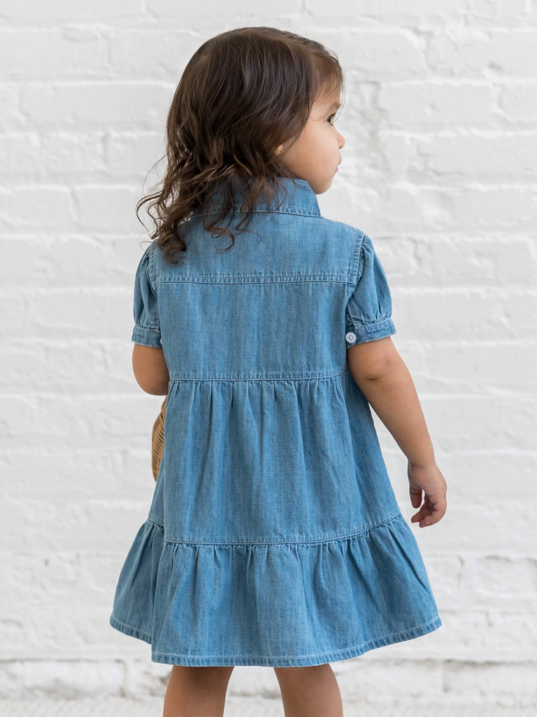Organic Baby & Kids Pippa Chambray Short Sleeve Shirt Dress: 18-24M