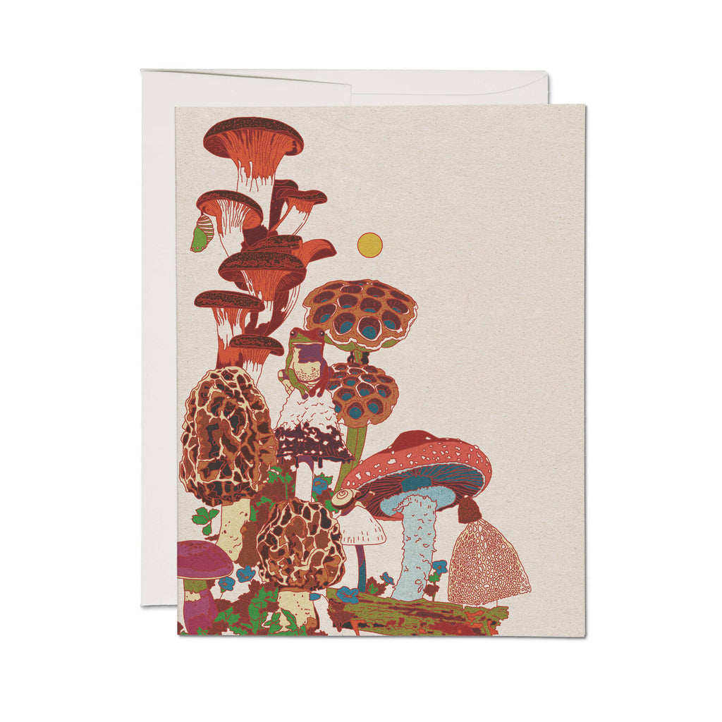 Frog and Fungi greeting card