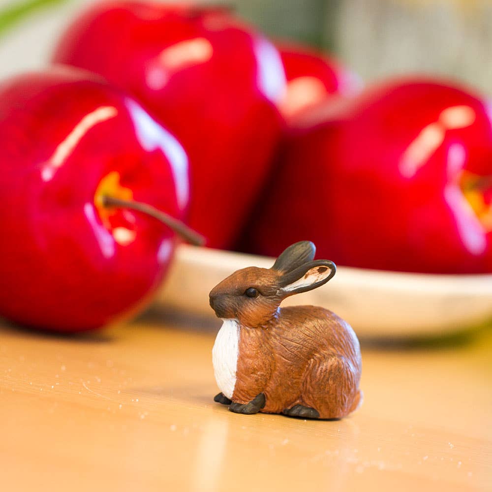 Rabbit - 245429