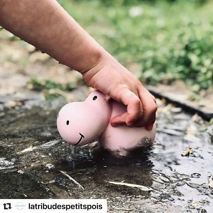 Hippo - Natural Rubber Teether, Rattle & Bath Toy