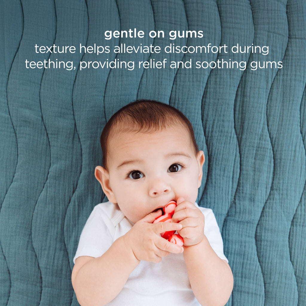 Joinibbles Silicone Teether Toys, 5 Pack