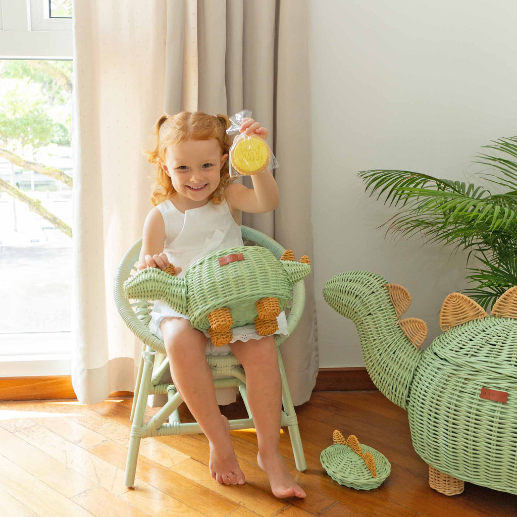 Handcrafted - Dinosaur Basket Small - Rattan Wicker