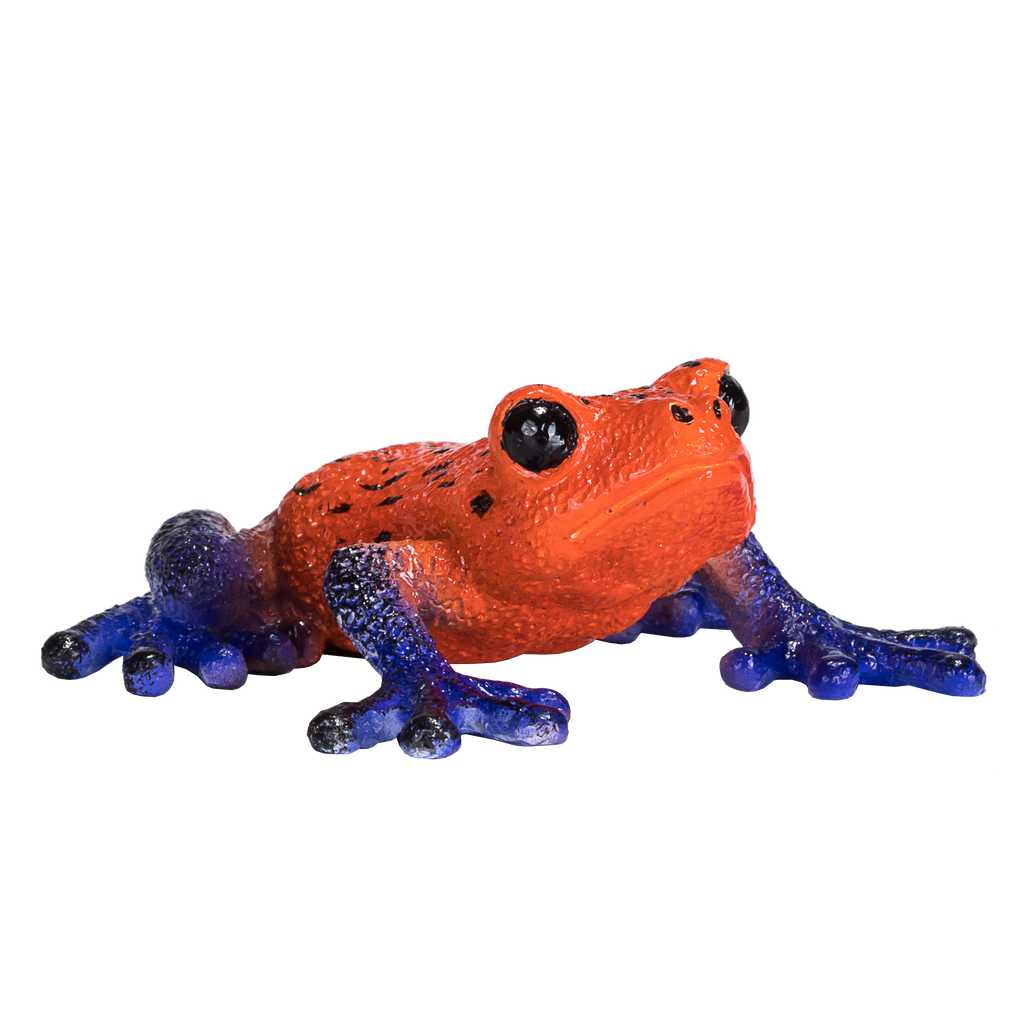 MOJO Poison Dart Tree Frog