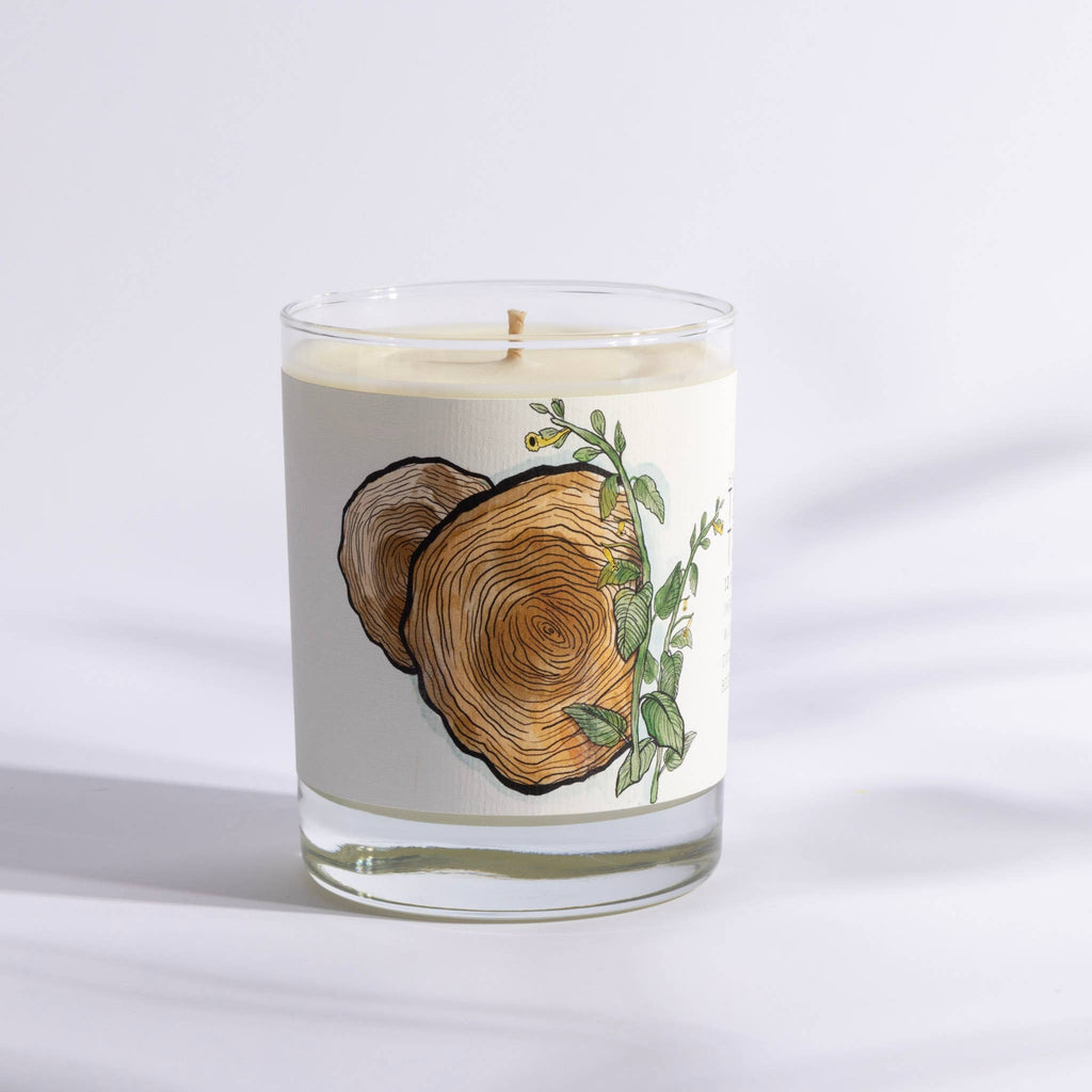 Teakwood Tobacco - Just Bee Candles: 13 oz (up to 60 hrs of clean burning)