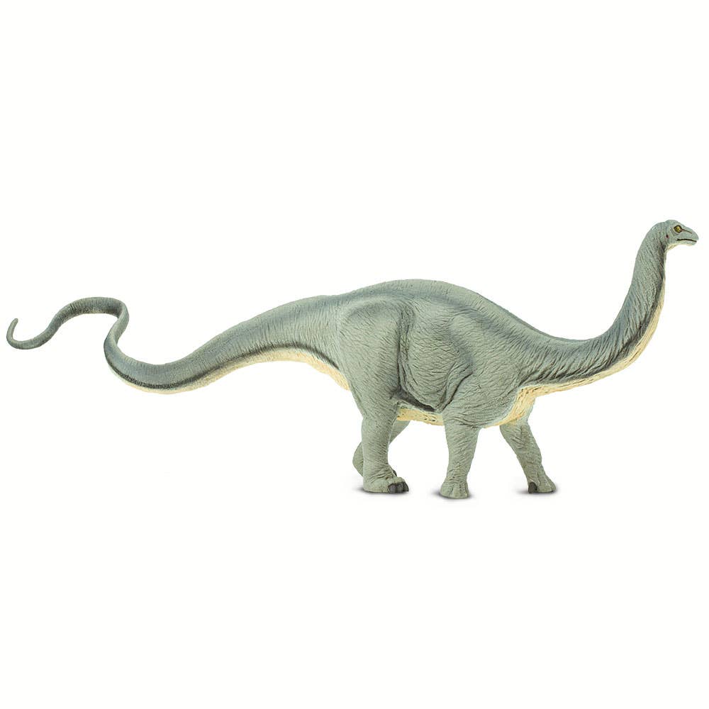 Apatosaurus - 300429