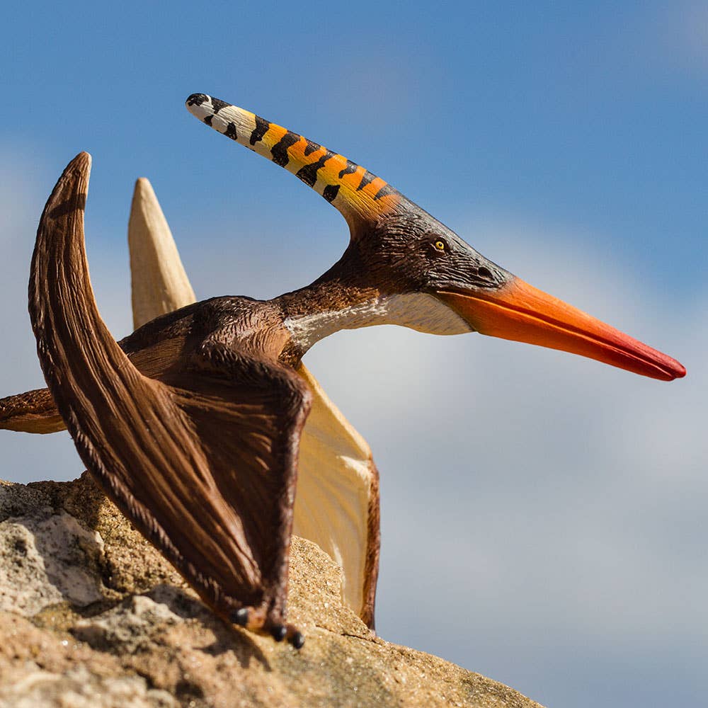 Pteranodon - 100301