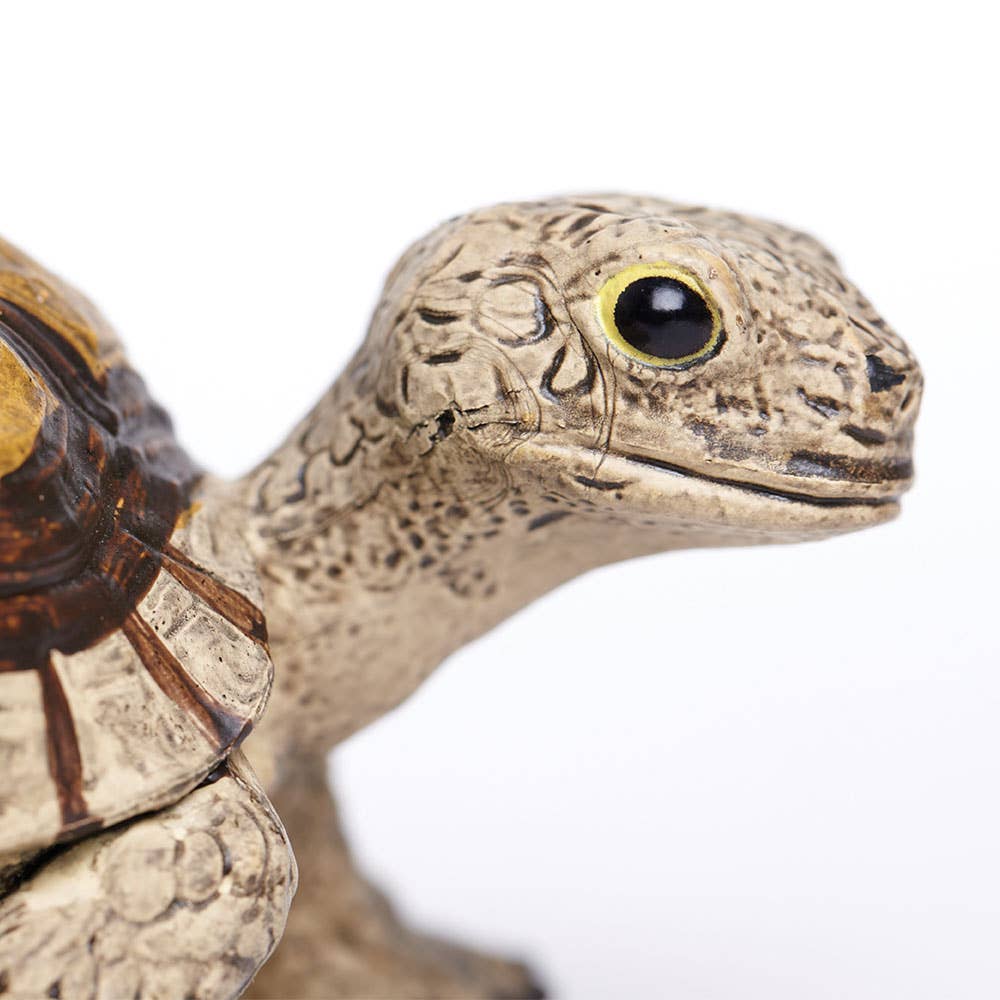 Tortoise - 258629