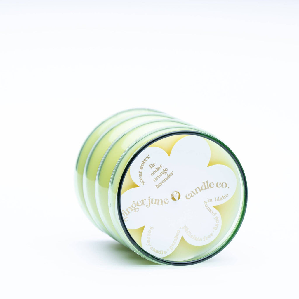 Take it easy • wiggle collection  • green • 9 oz soy candle