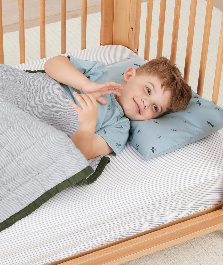 Organic Toddler Pillow And Case Dragonflies