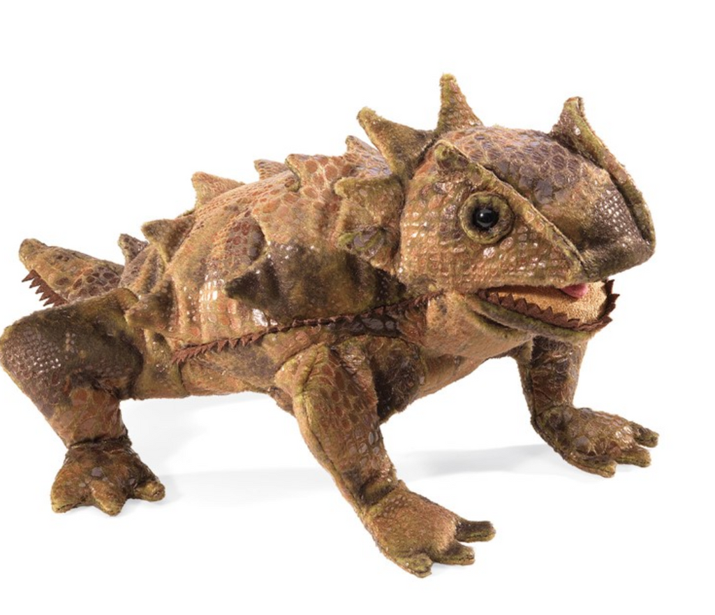 Horned Lizard