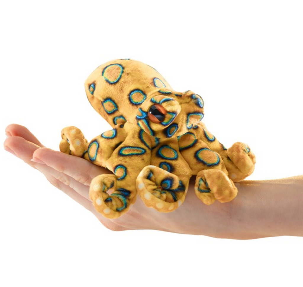 Mini Ringed Octopus