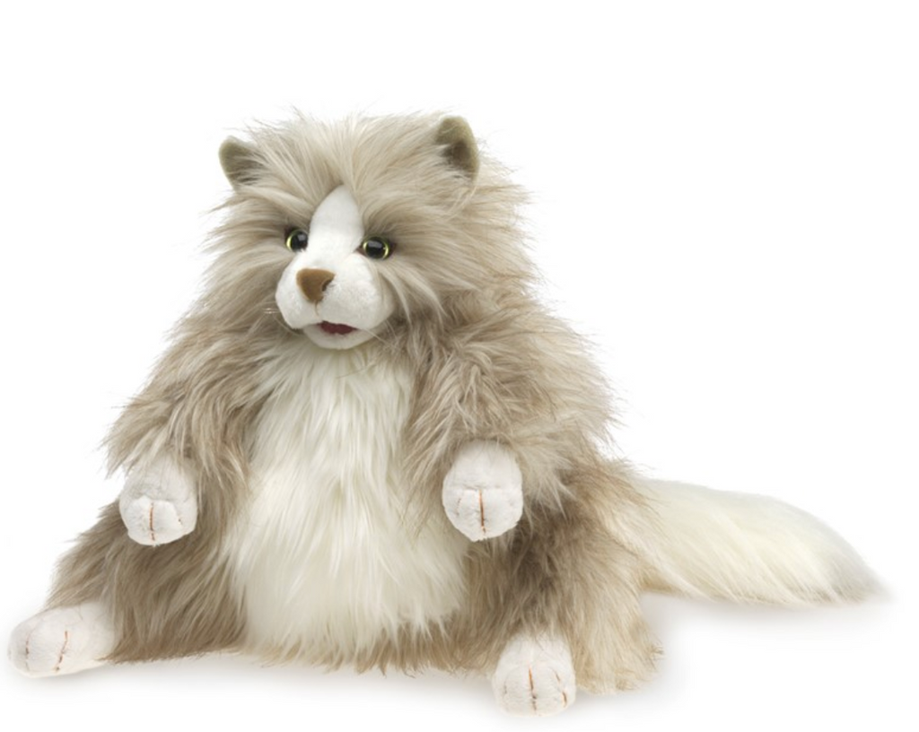 Fluffy Cat