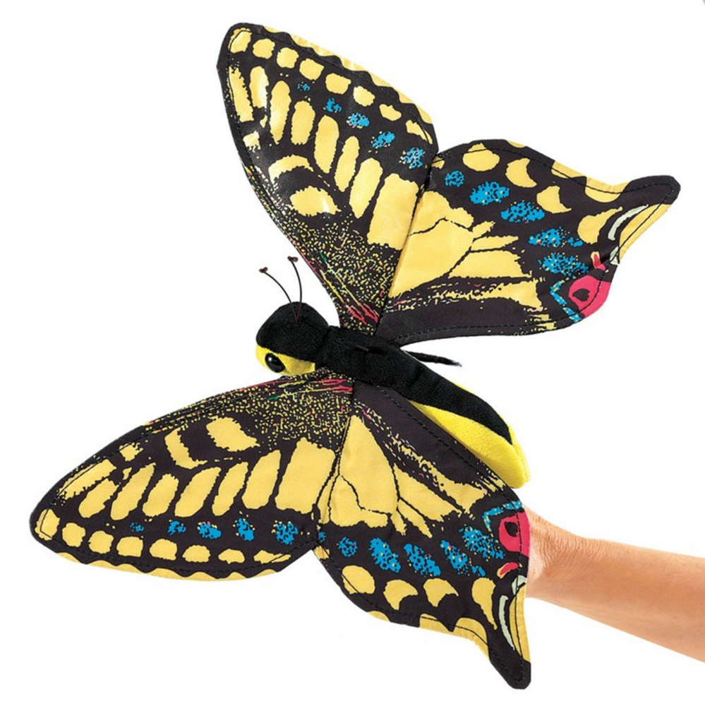 Swallowtail Butterfly