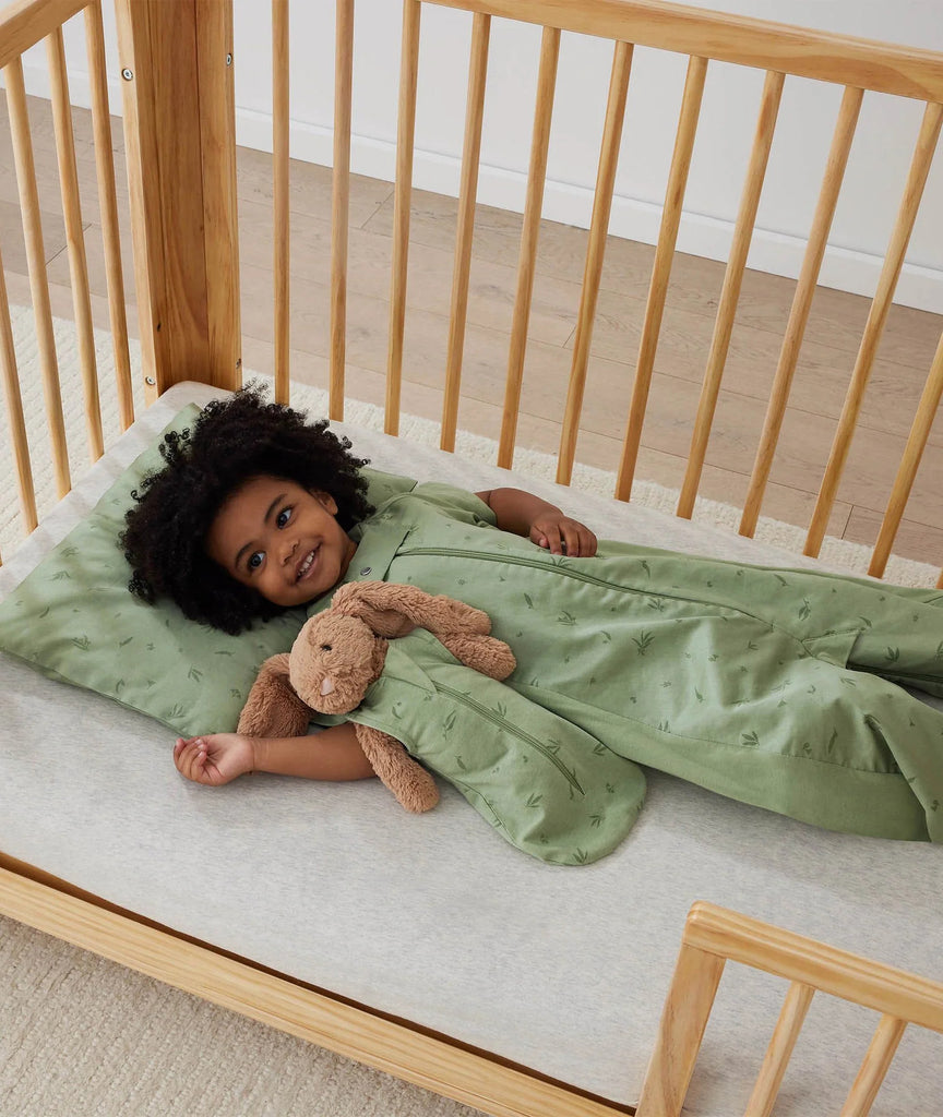 Organic Toddler Pillow And Case Willow