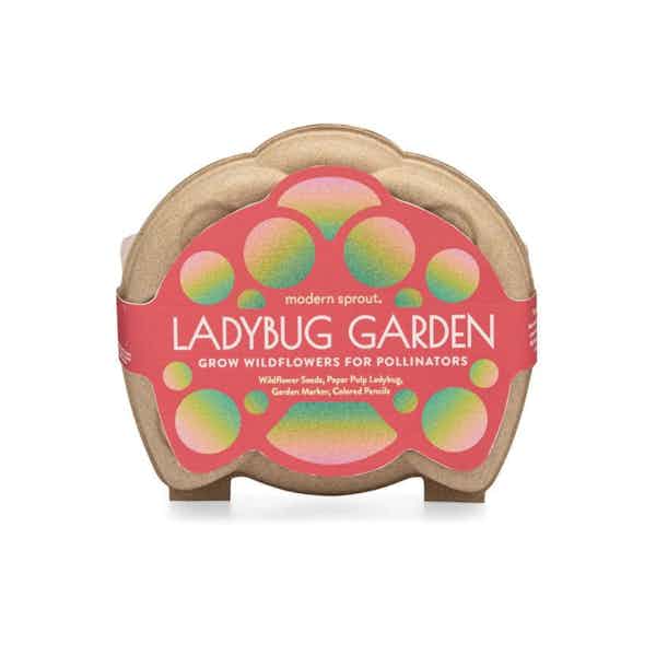 Curious Critters Garden Kits - Ladybug