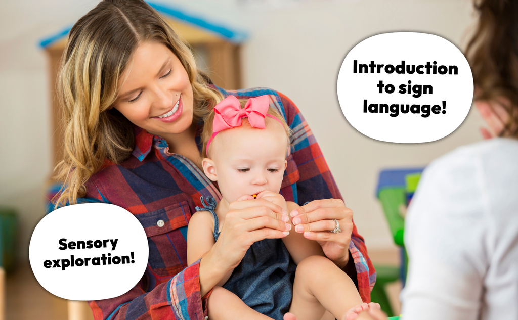 Ready to Sign: Baby Signs Sign Language Board Book