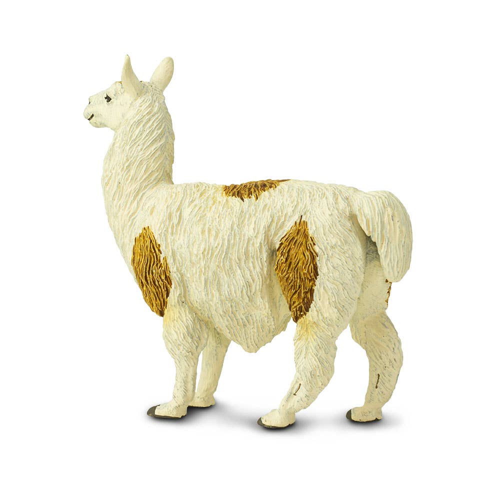 Llama - 227429