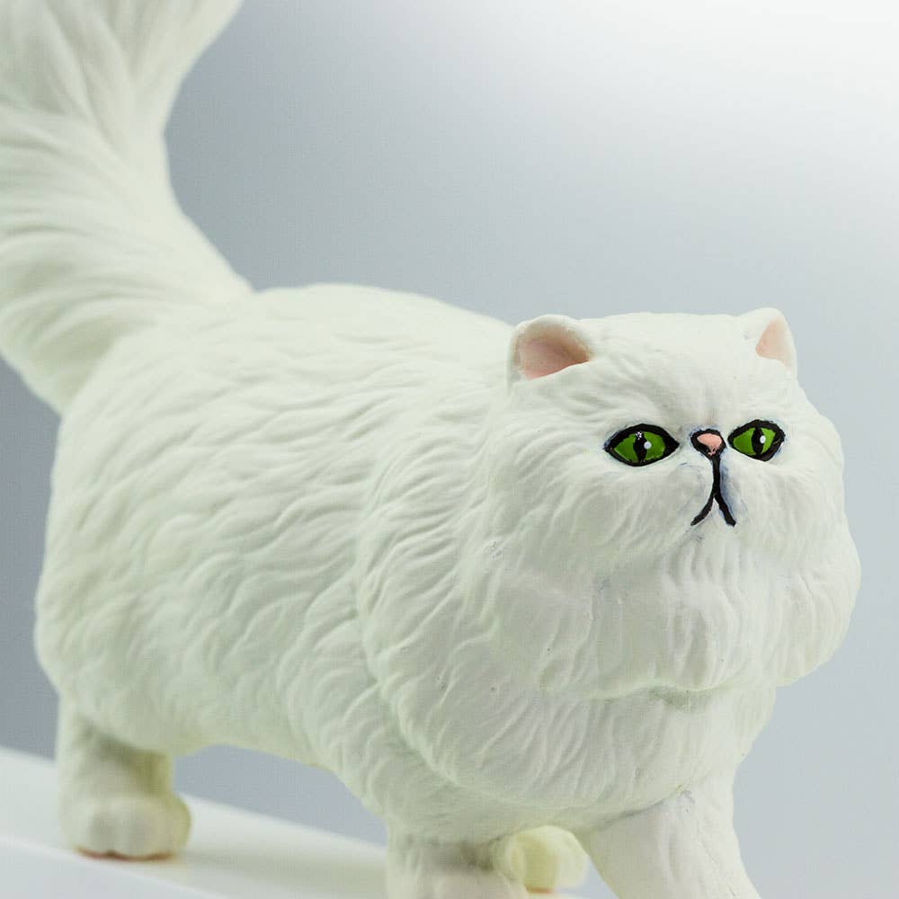 Persian Cat - 100203