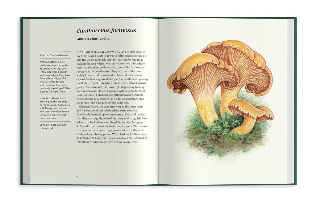 Field Notes From a Fungi Forager