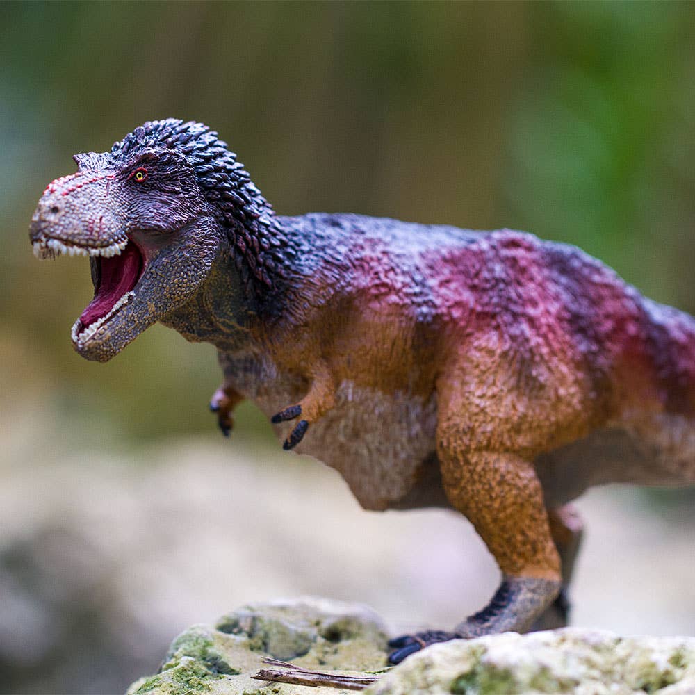 Feathered Tyrannosaurus Rex - 100031