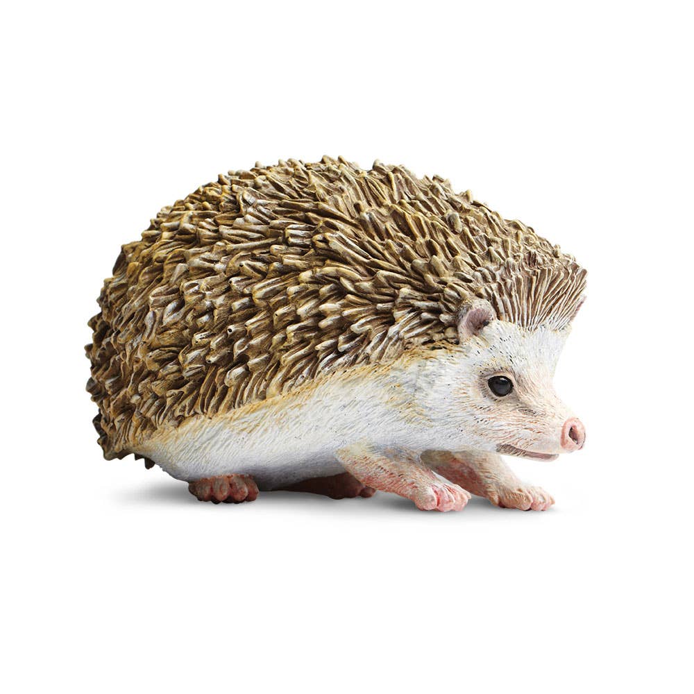 Hedgehog - 261129