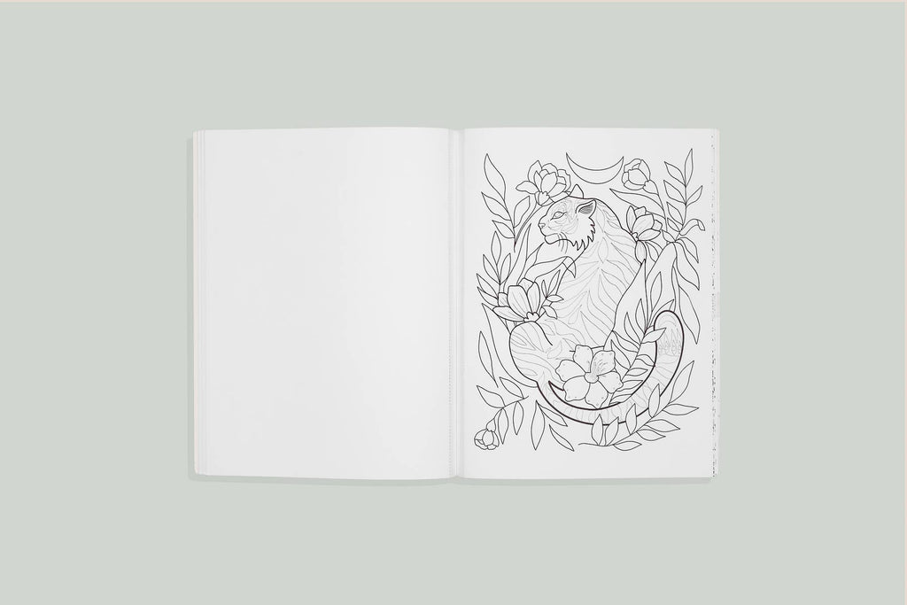 You are Made of Magic: Coloring book with Affirmations
