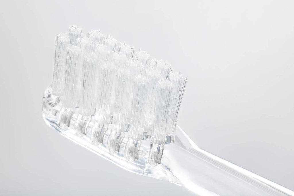 Toothbrush: Whales
