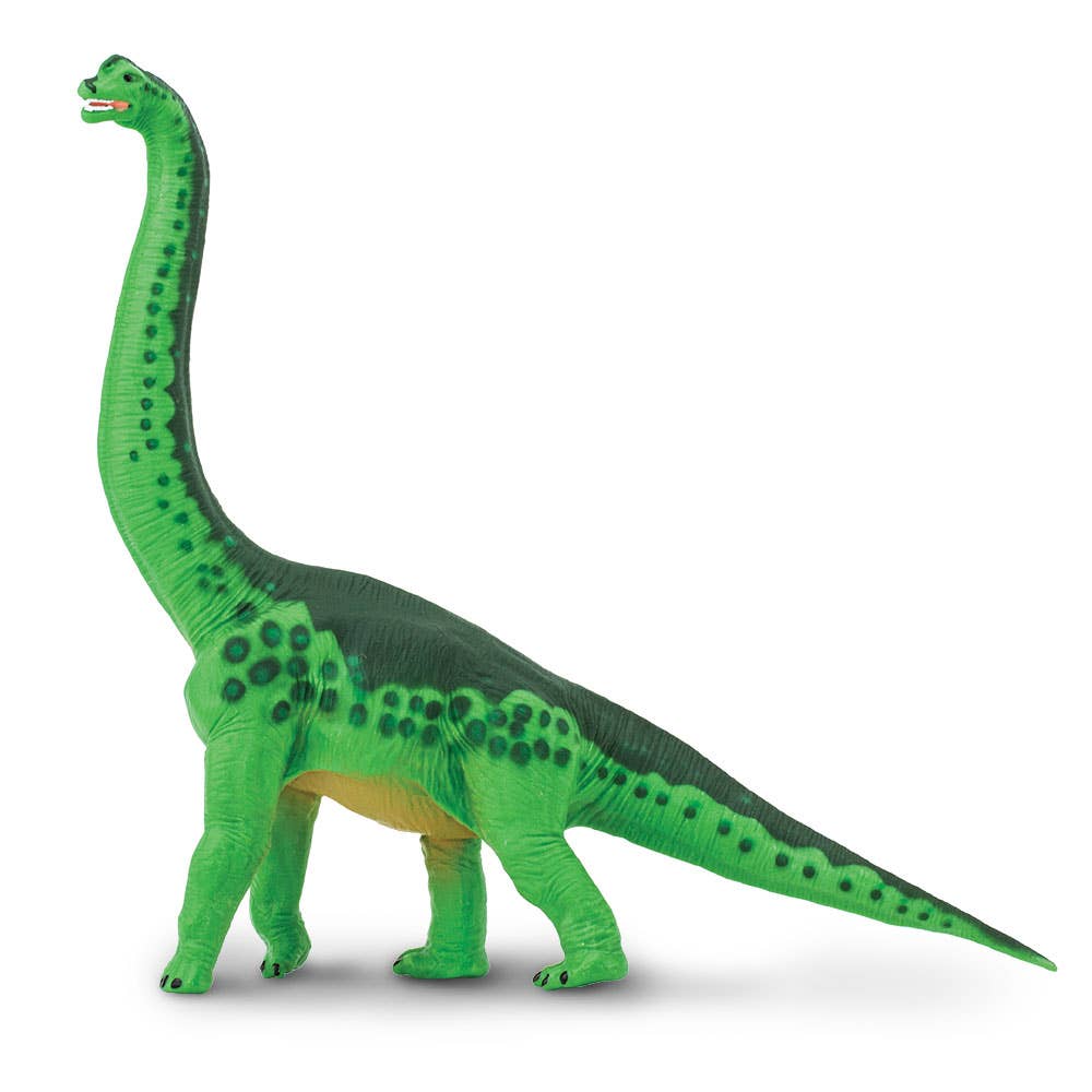 Brachiosaurus - 278229