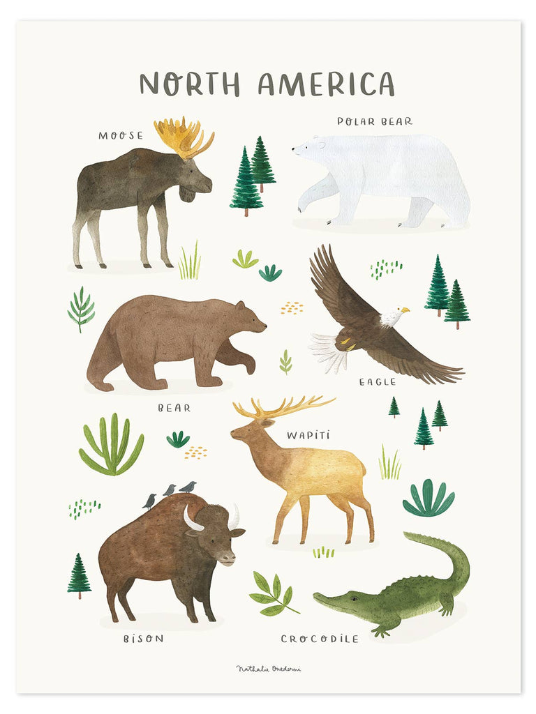 Fauna of North America Art Print