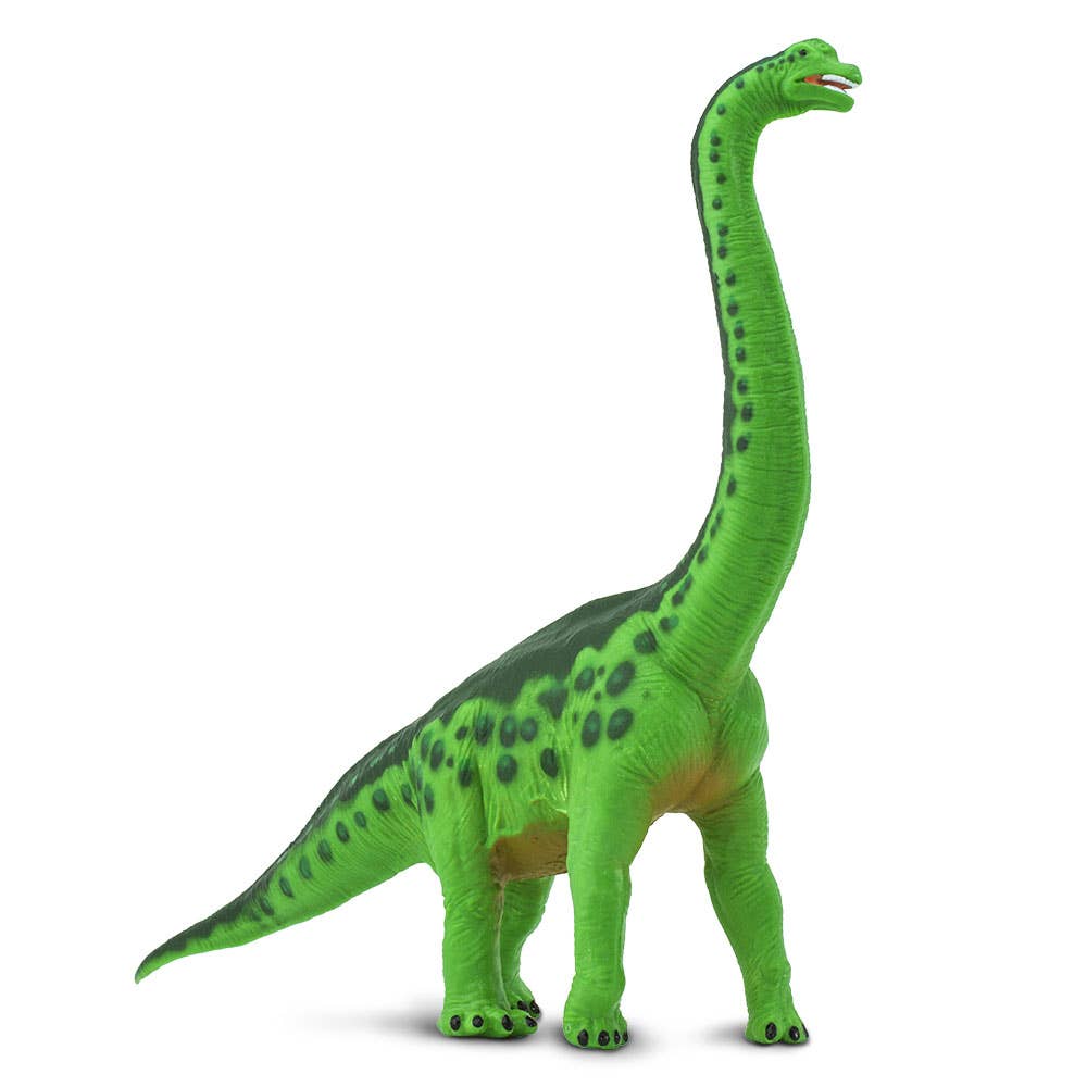 Brachiosaurus - 278229