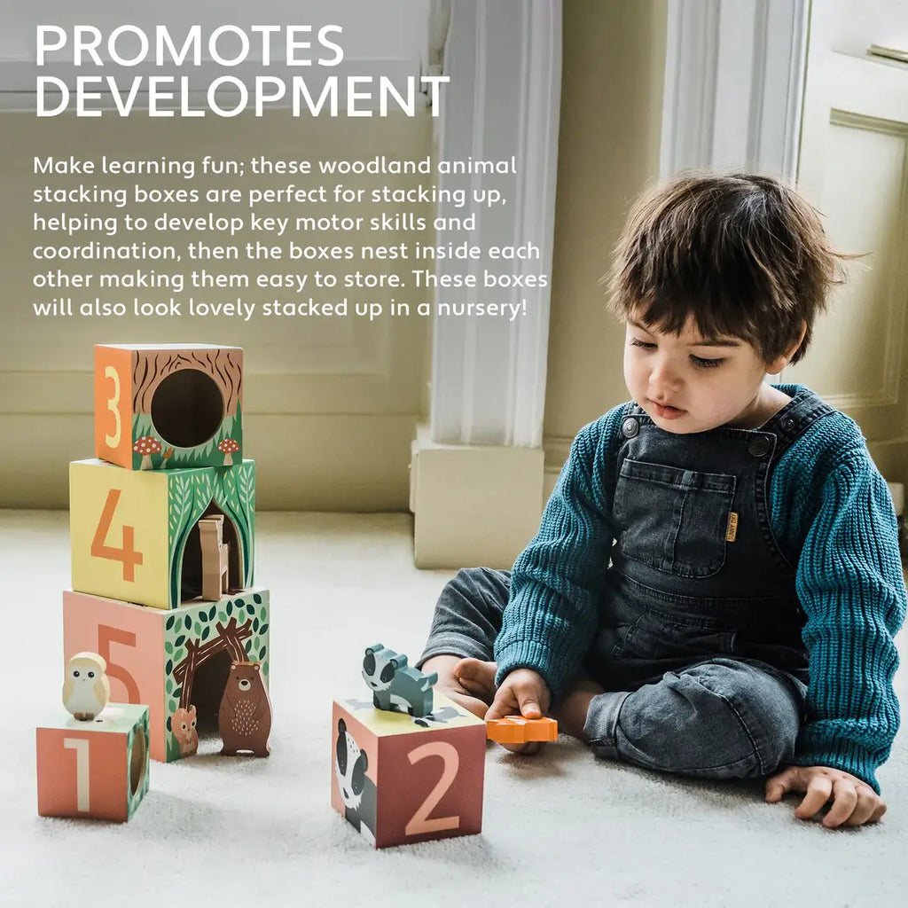 Woodland Animal Wooden Stacking Cubes (FSC®)
