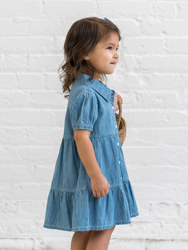 Organic Baby & Kids Pippa Chambray Short Sleeve Shirt Dress: 4T