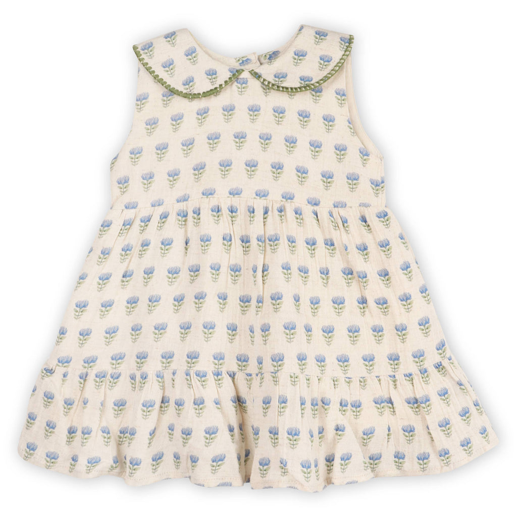 Harper Peter Pan Collar Floral Baby Flare Dress + Bloomer: Blue Floral/Natural / 6-12M