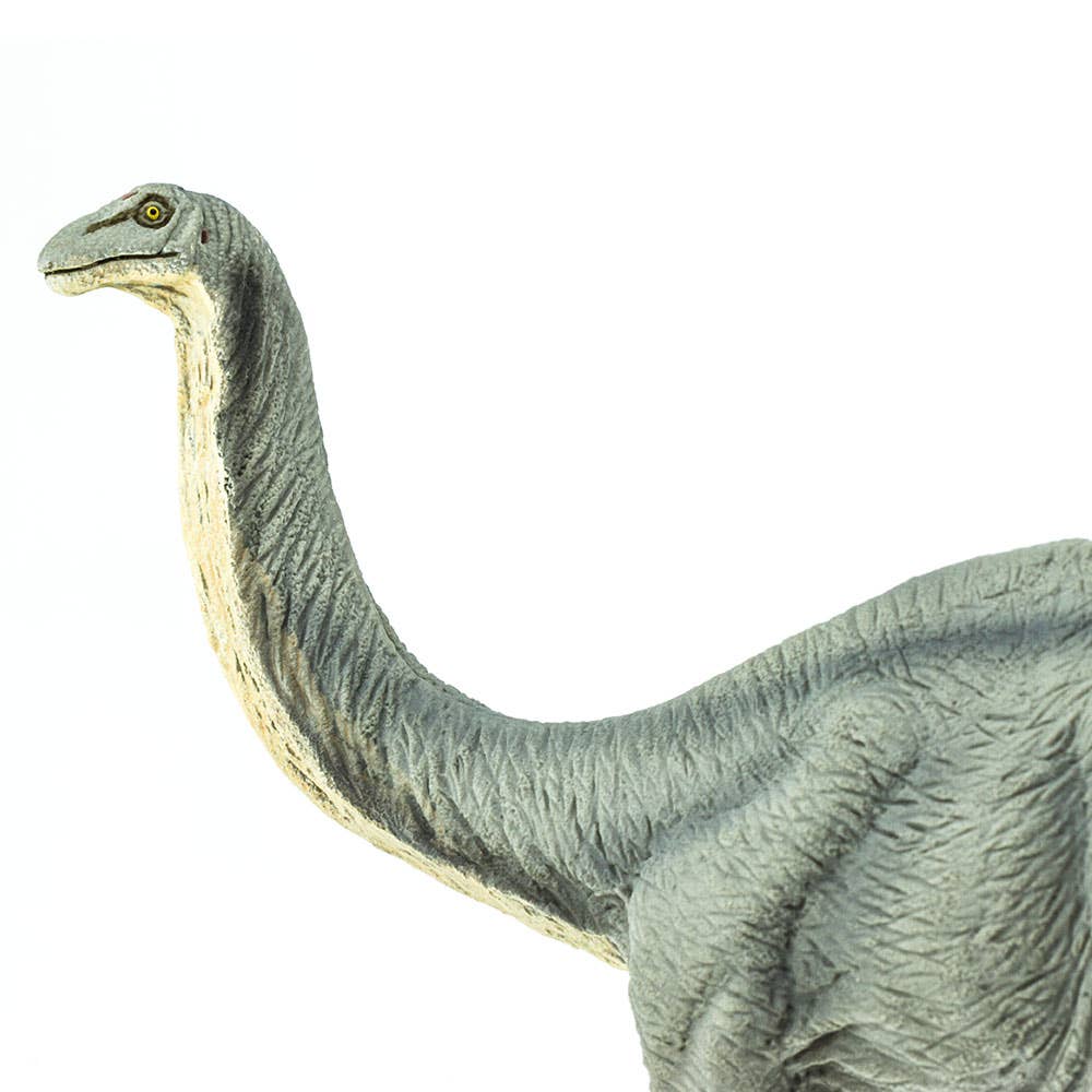 Apatosaurus - 300429