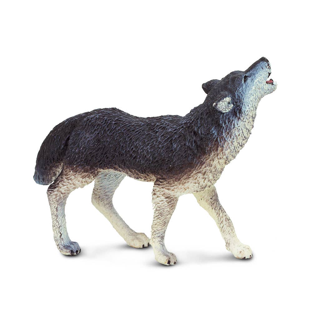 Gray Wolf - 273829