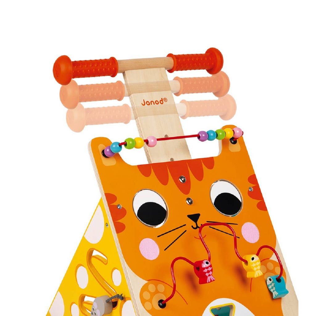 Multi-activities Cat Baby Walker