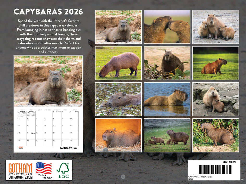 Capybara Calendar 2026 Monthly Wall Calender 12 Month