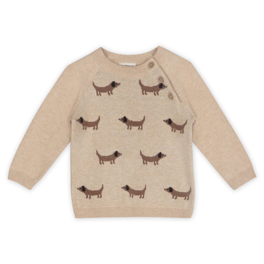 Doxie Dog Jacquard Knit Baby Raglan Pullover (Organic)