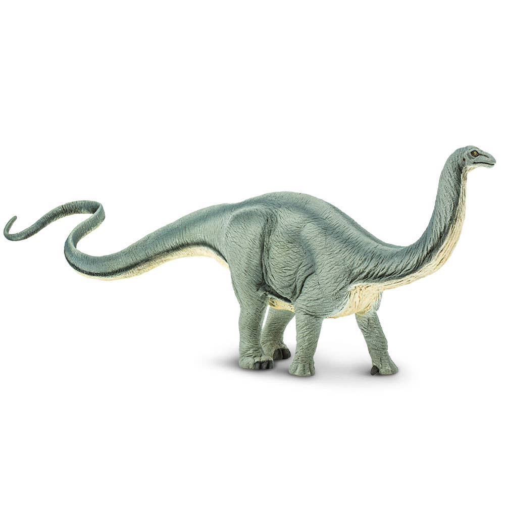 Apatosaurus - 300429