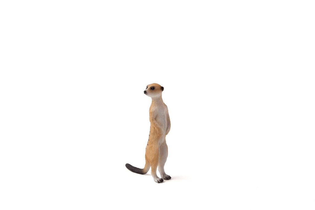 MOJO Meerkat