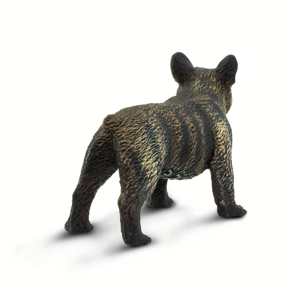 French Bulldog - 100304