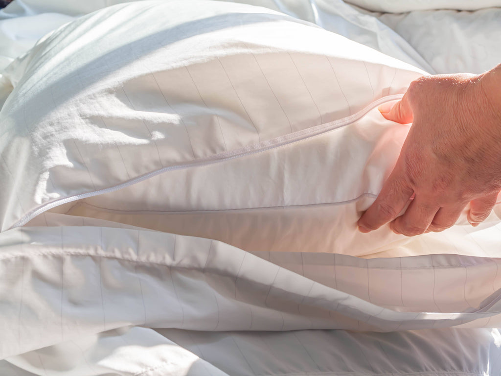 Cotton Pillow Protectors