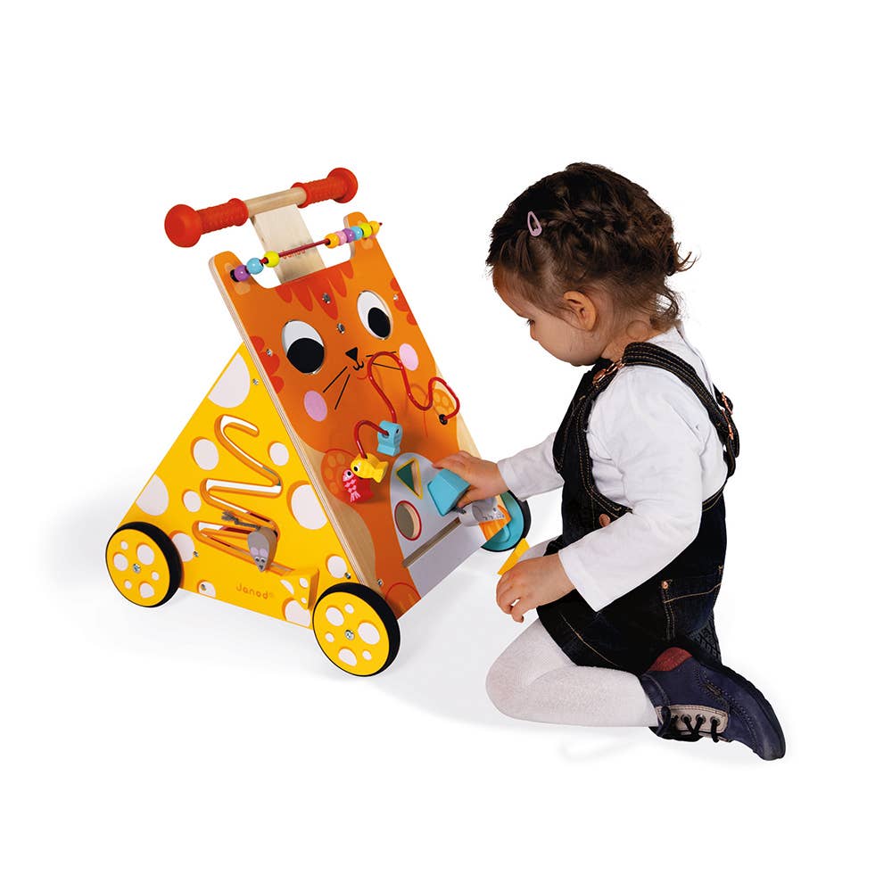 Multi-activities Cat Baby Walker