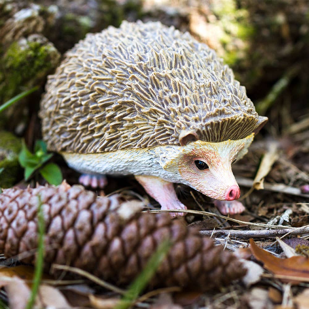 Hedgehog - 261129