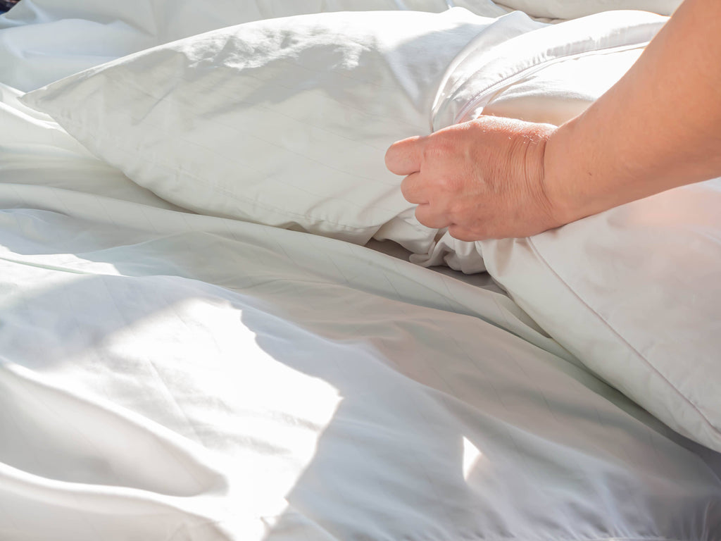 Cotton Pillow Protectors