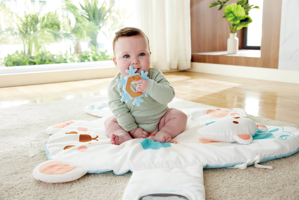Snuggle Bear Activity Gym