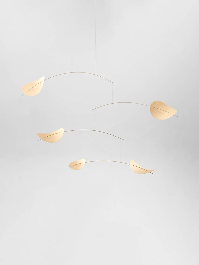 Drifting Clouds, medium