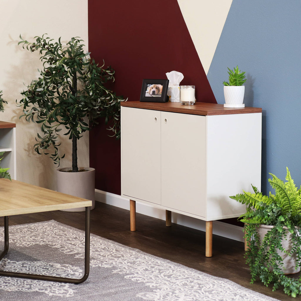 Mid-Century Modern 2-Door Accent Buffet Cabinet